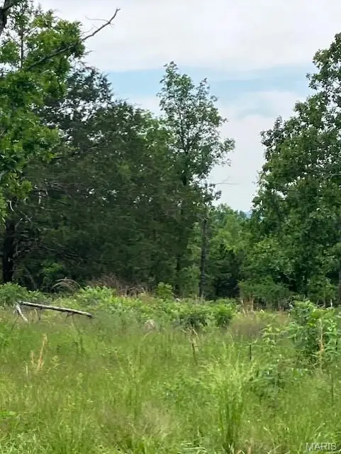 257 Madison Cr 410, Fredericktown, MO 63645 - #3