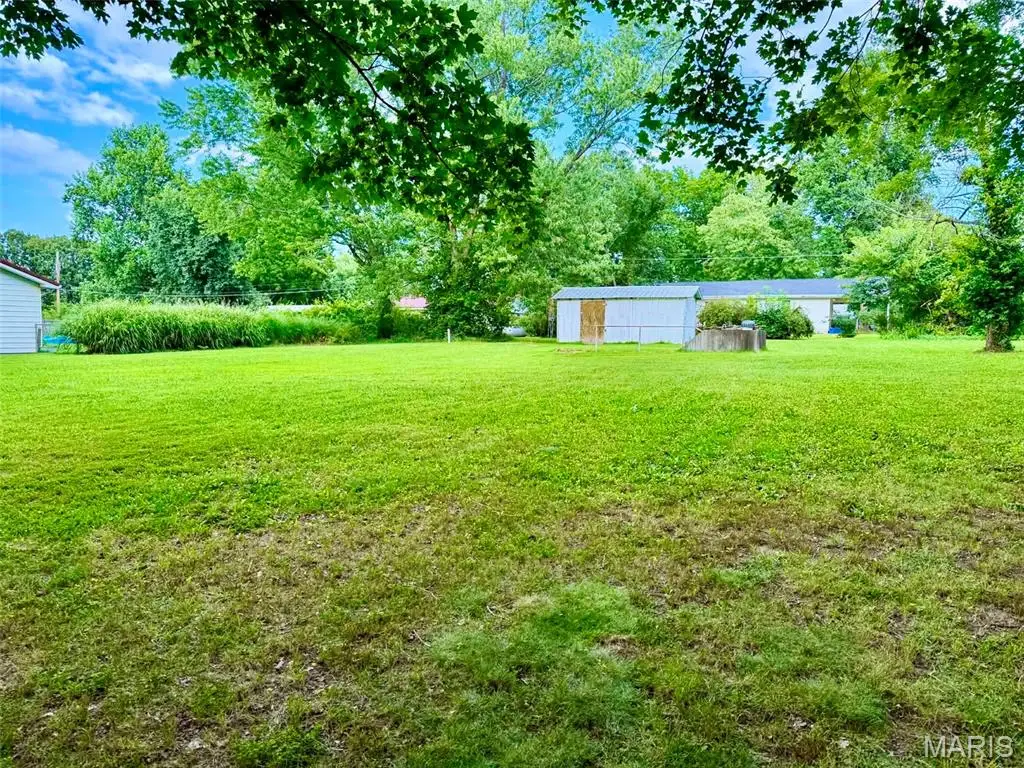 320 Quaker Avenue, Houston, MO 65483 - #1