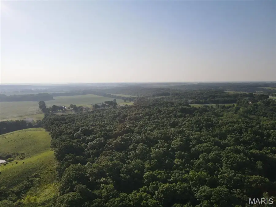 355 County Road, Mount Pleasant, MO 63531 - #3