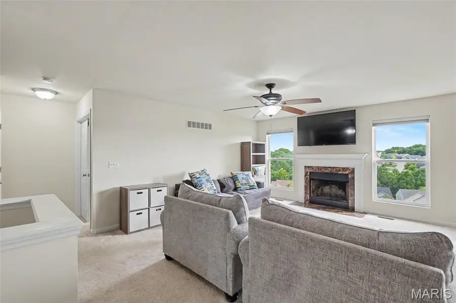 6584 Buckingham Palace Drive, Imperial, MO 63052 - #3