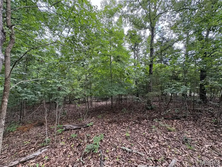 5029 Port Perry Drive, Perryville, MO 63775 - #3