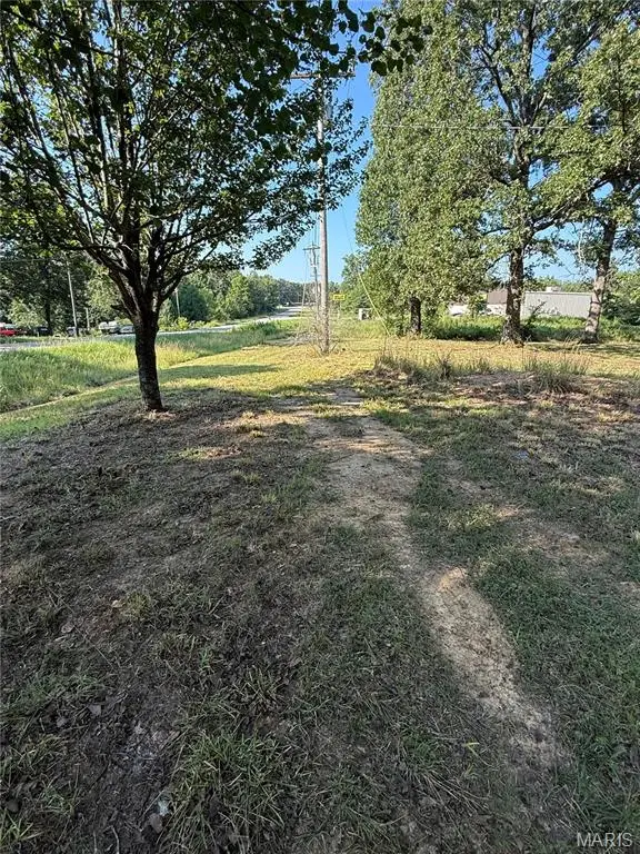 16653 Wayne Highway D, Wappapello, MO 63966 - #2