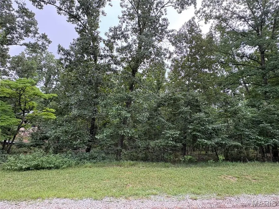 7038 S Port Perry Drive, Perryville, MO 63775 - #2
