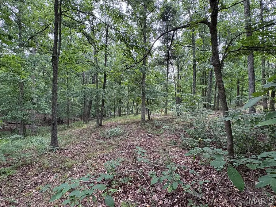 7038 S Port Perry Drive, Perryville, MO 63775 - #3