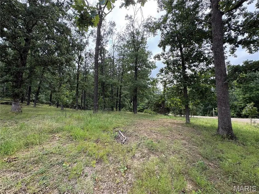 7074 Lake Point Drive, Perryville, MO 63775 - #3