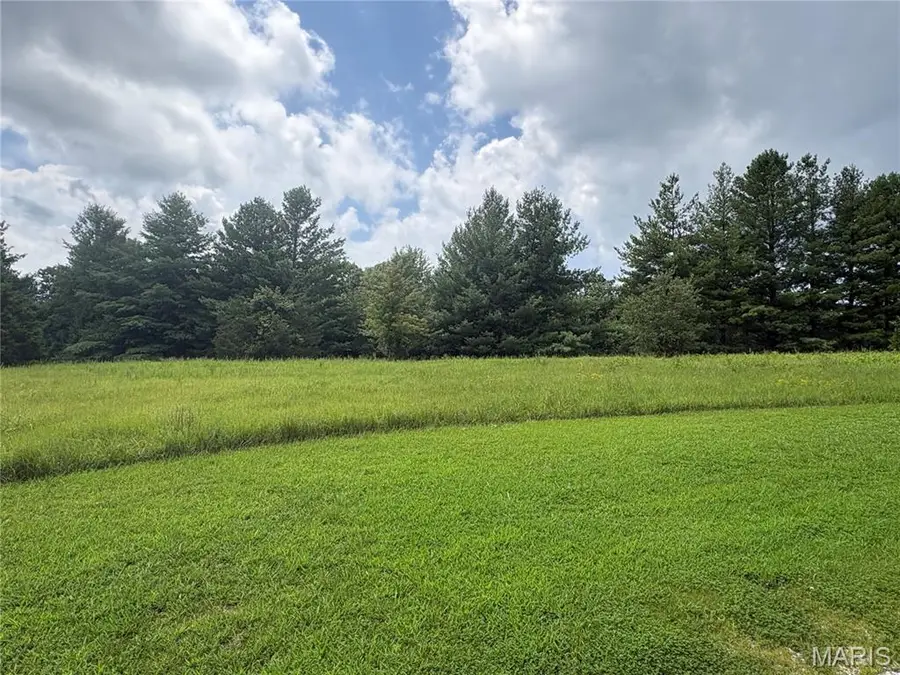 0 Whispering Pines Lane, Perryville, MO 63775 - #3