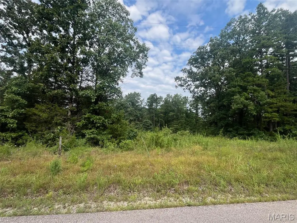 0 Grassy Hollow Road, Potosi, MO 63664 - #1