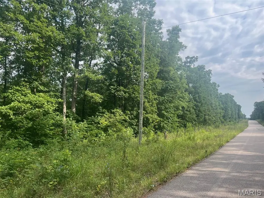 0 Grassy Hollow Road, Potosi, MO 63664 - #2