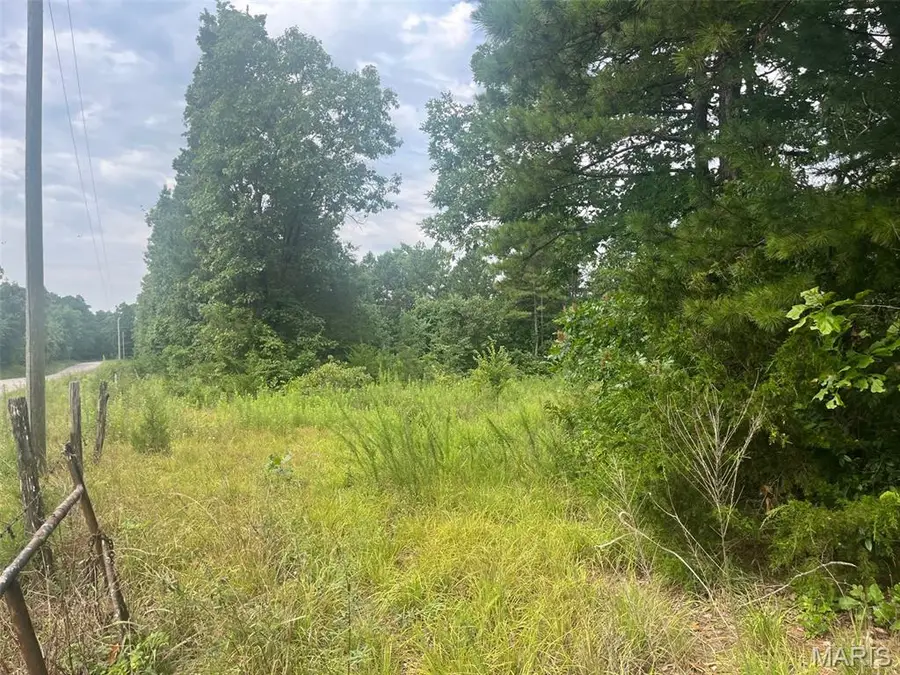 0 Grassy Hollow Road, Potosi, MO 63664 - #3