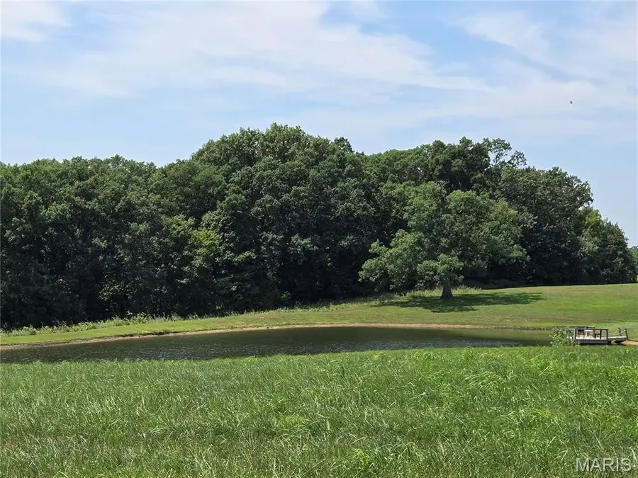150 Saratoga Lane, Silex, MO 63377 - #2