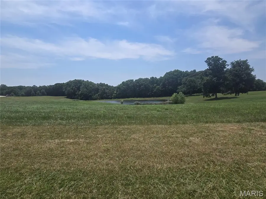 150 Saratoga Lane, Silex, MO 63377 - #3