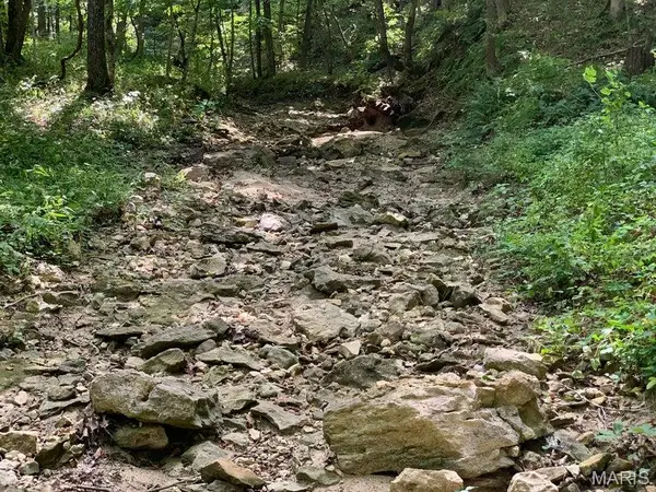 TBD Branch Road, Fulton, MO 65251