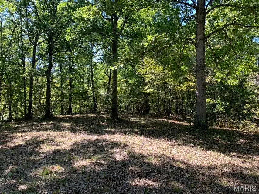 TBD Branch Road, Fulton, MO 65251 - #2