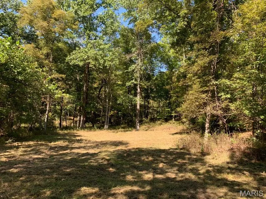 TBD Branch Road, Fulton, MO 65251 - #3