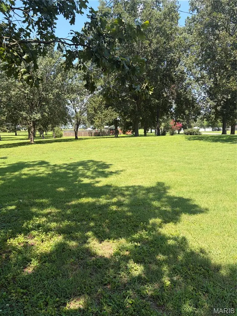 900 County Highway Tract 3, Benton, MO 63736 - #1