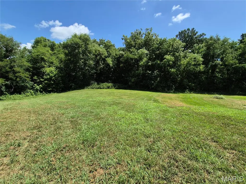 228 Windrose Lane, Troy, MO 63379 - #1