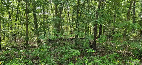 0 County Road 4050, Salem, MO 65560