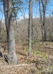 0 Easy Street, De Soto, MO 63020 - #2