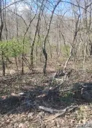 0 Easy Street, De Soto, MO 63020 - #3
