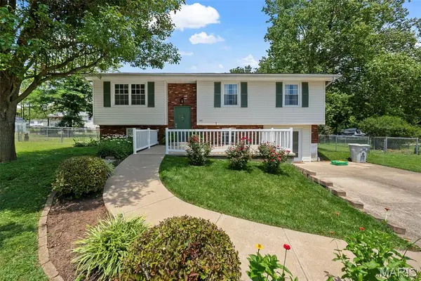 501 Louise Street, Farmington, MO 63640