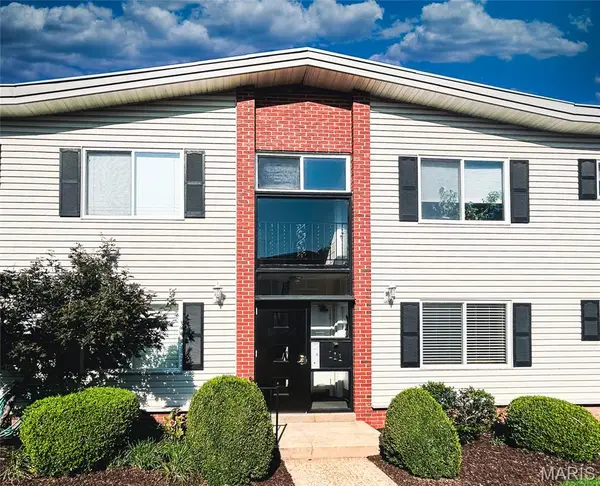 111 E Washington Avenue #1N, St Louis, MO 63122