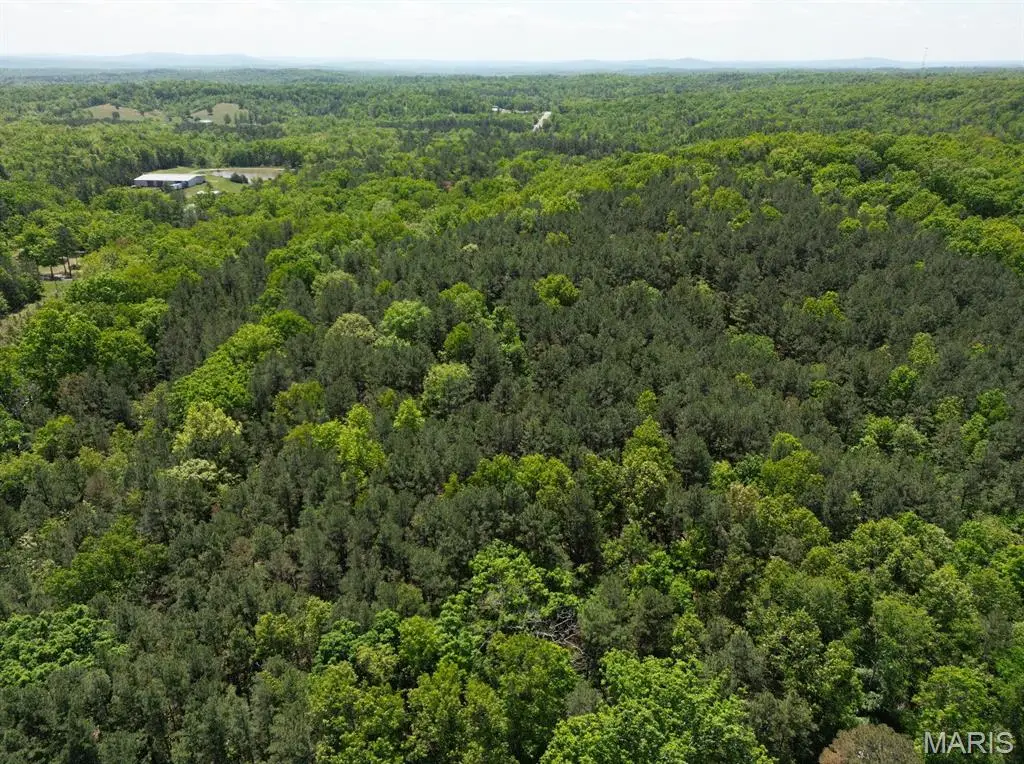12488 S State Highway 21, Potosi, MO 63664 - #1