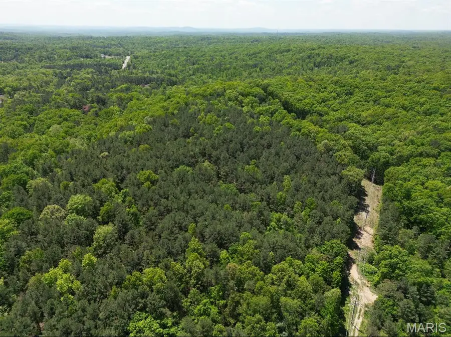 12488 S State Highway 21, Potosi, MO 63664 - #2