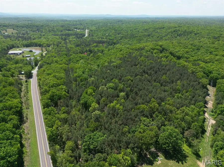 12488 S State Highway 21, Potosi, MO 63664 - #3