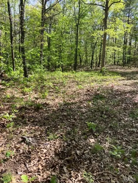 261 Madison Cr 410, Fredericktown, MO 63645
