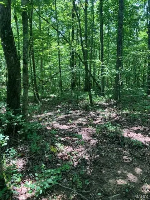 261 Madison Cr 410, Fredericktown, MO 63645 - #2