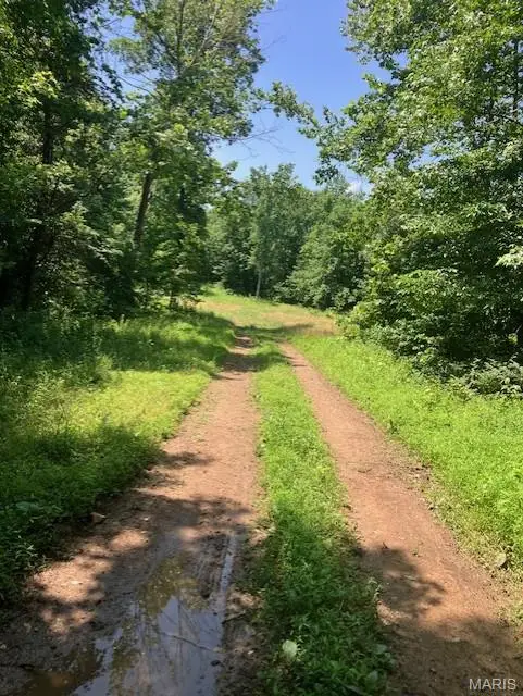 250 Madison Cr 410, Fredericktown, MO 63645 - #1