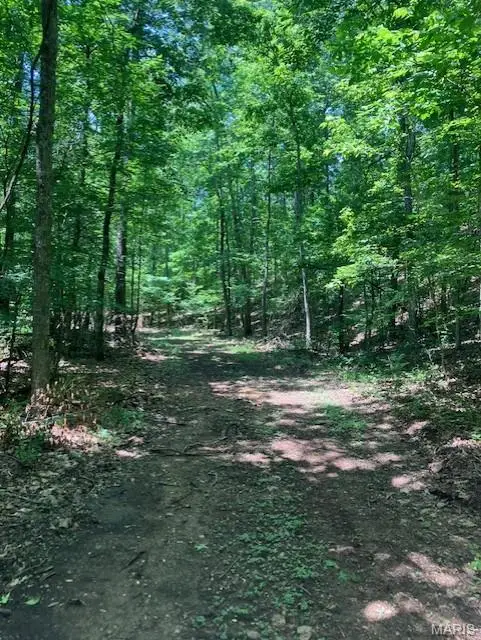 250 Madison Cr 410, Fredericktown, MO 63645 - #2