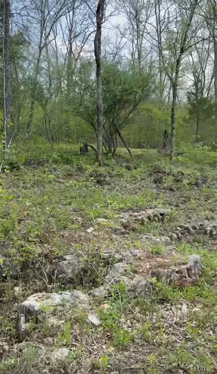 0 353, Piedmont, MO 63957 - #2