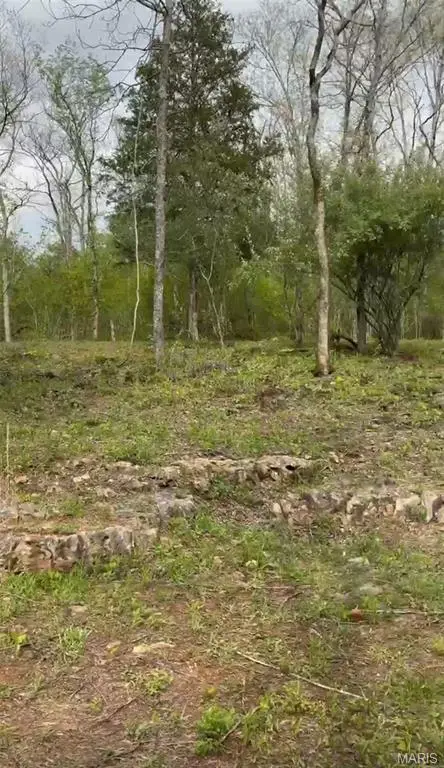 0 353, Piedmont, MO 63957 - #3