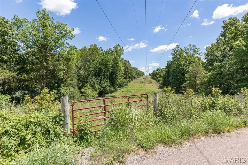 1175 Three Rivers Road, Farmington, MO 63640 - #1