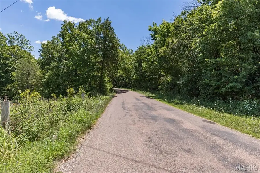 1175 Three Rivers Road, Farmington, MO 63640 - #3