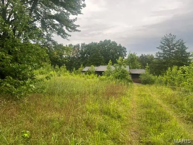 313 Snapping Turtle Lane, Doniphan, MO 63935 - #1