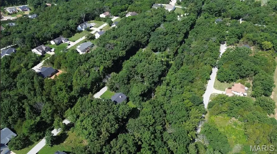 Lot 5//5631 Katys Way, Hillsboro, MO 63050 - #3
