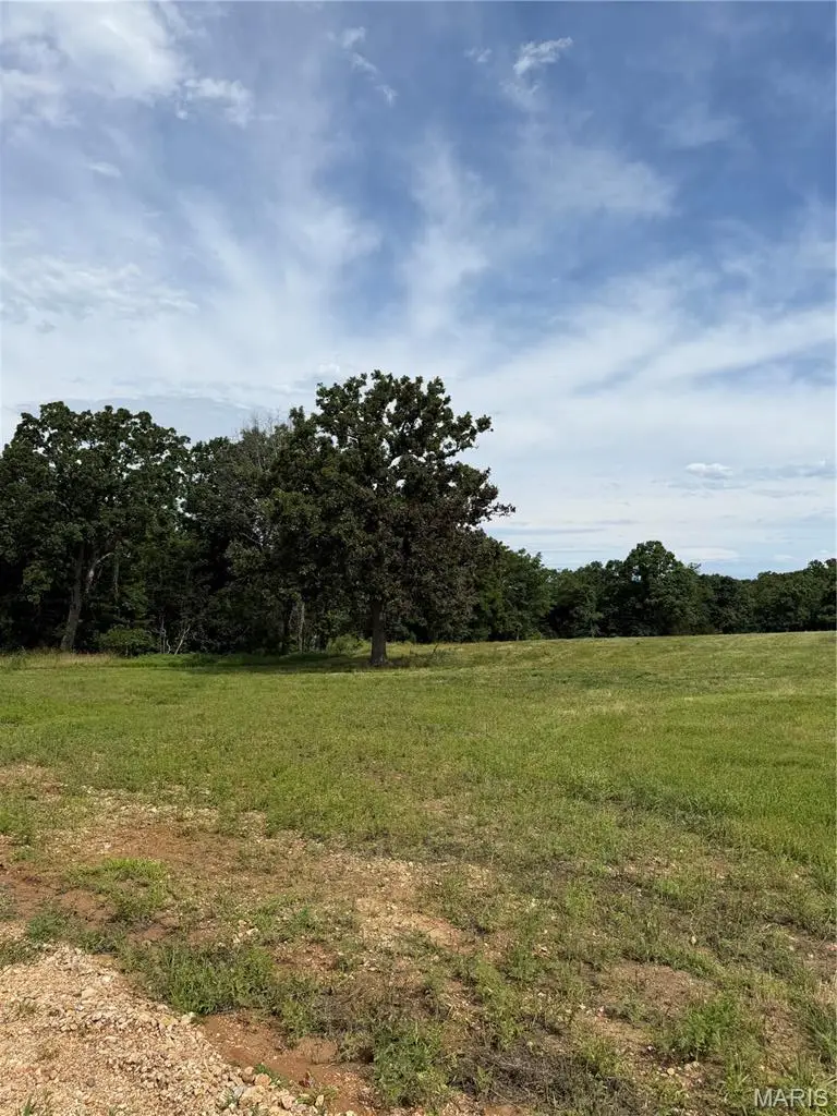 Tract 1 Ramsey Drive, Waynesville, MO 65583 - #1