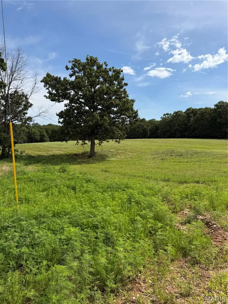 Tract 1 Ramsey Drive, Waynesville, MO 65583 - #2