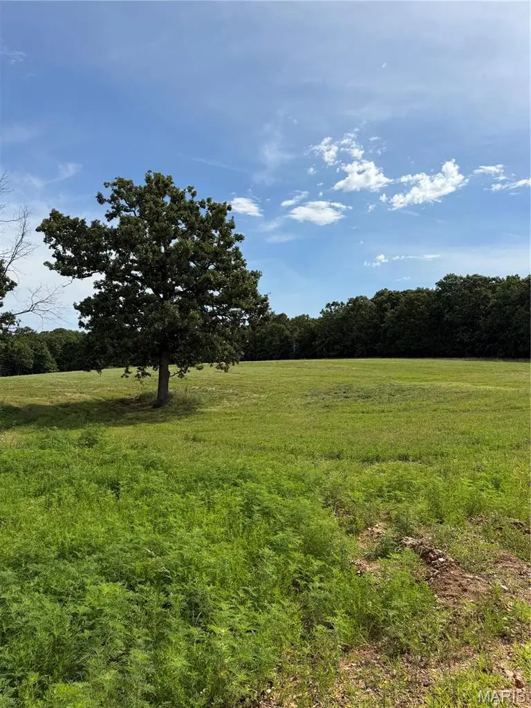 Tract 1 Ramsey Drive, Waynesville, MO 65583 - #3