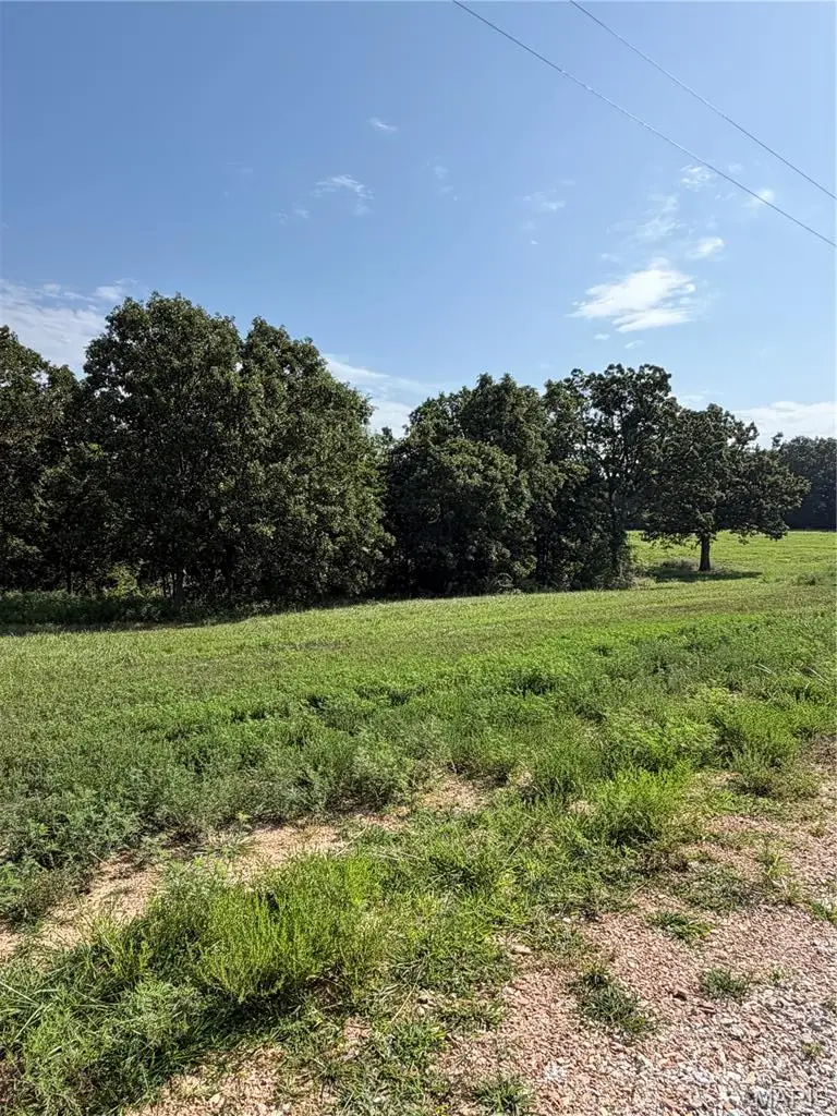 Tract 2 Ramsey Drive, Waynesville, MO 65583 - #1