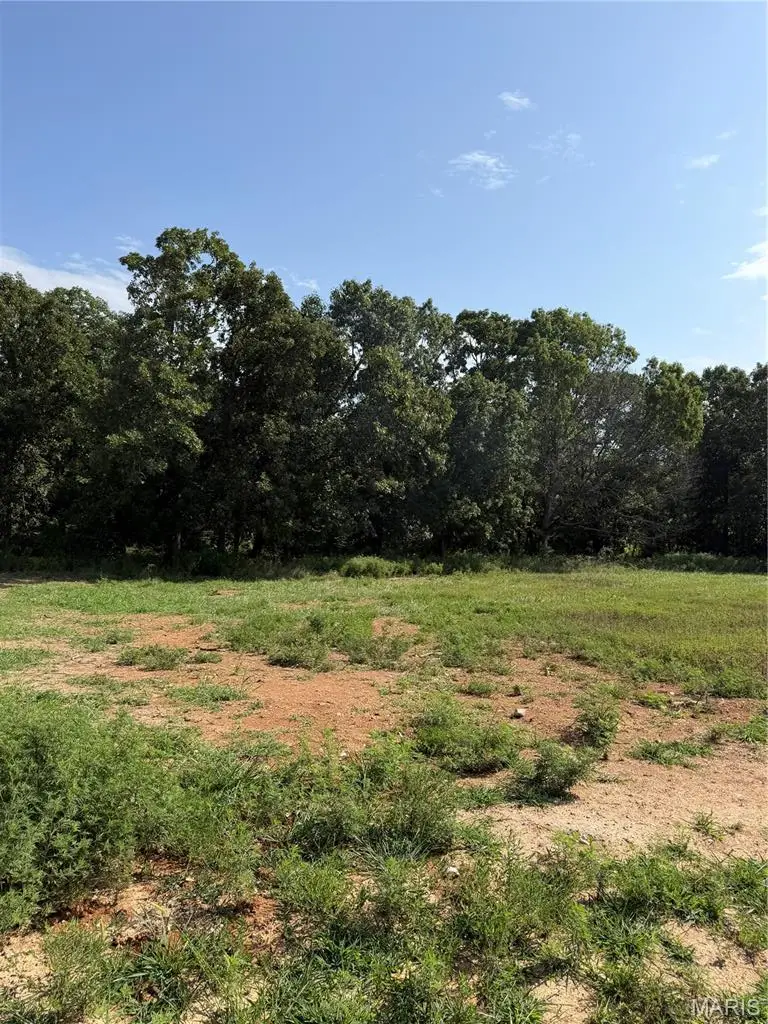 Tract 2 Ramsey Drive, Waynesville, MO 65583 - #3