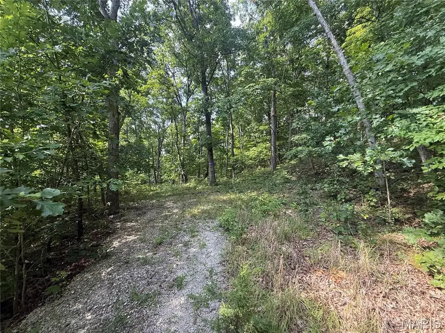 E Swaller Road, Imperial, MO 63052 - #2