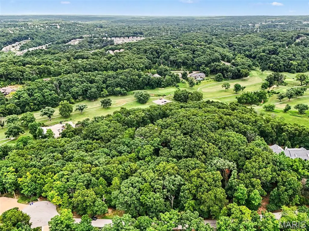 1524 Shalimar Ridge Lane, High Ridge, MO 63049 - #1