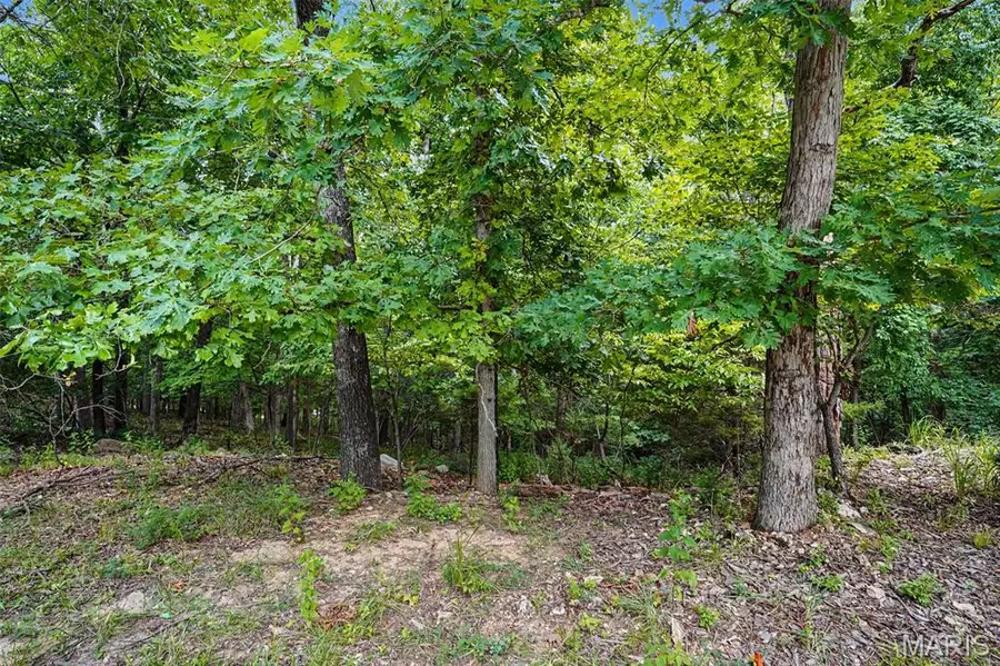 1524 Shalimar Ridge Lane, High Ridge, MO 63049 - #2