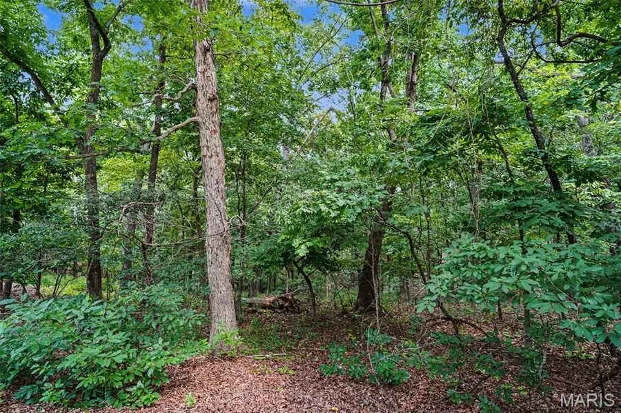 1524 Shalimar Ridge Lane, High Ridge, MO 63049 - #3