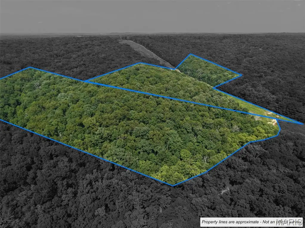 41 Acres Whittaker Road, French Village, MO 63036 - #1