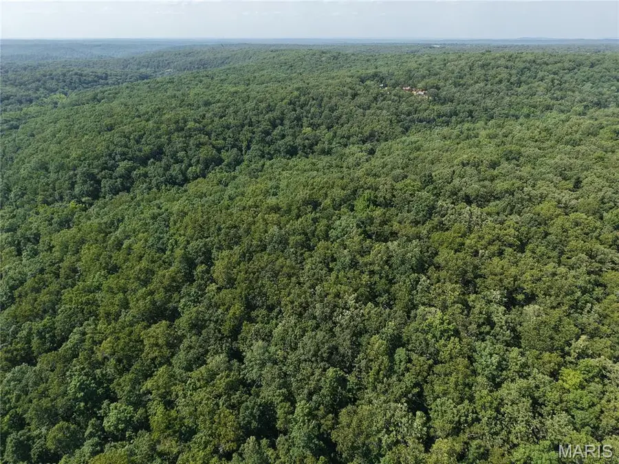 41 Acres Whittaker Road, French Village, MO 63036 - #3