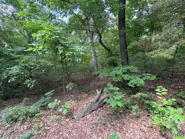 9979 Lincoln Drive, Raintree Plantation, MO 63050 - #2